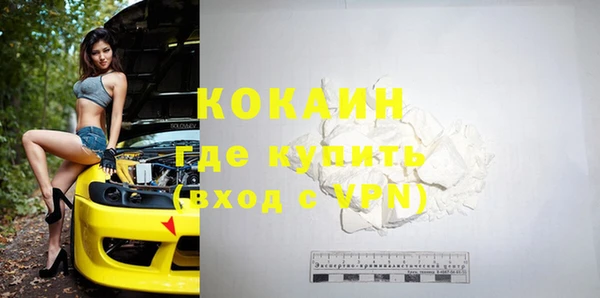 винт Бикин